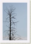 10 - 35 Gradina Botanica - Jibou  * 428 x 640 * (55KB)